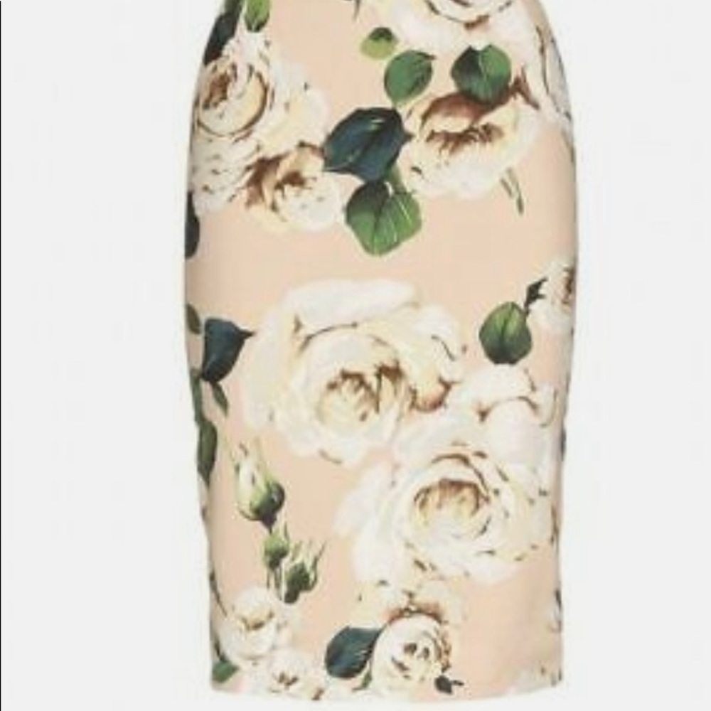 Dolce & Gabbana Pencil Skirt Roses Print Beige 42 IT